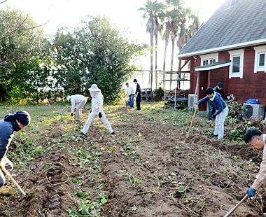 2025年芋掘会ギャラリー