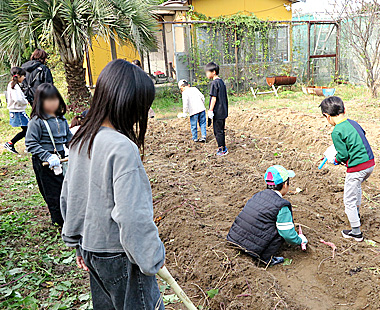 2025年芋掘会ギャラリー
