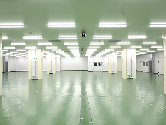 写真2