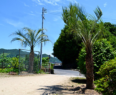 保養施設　歌浜ログハウスと家庭菜園の紹介